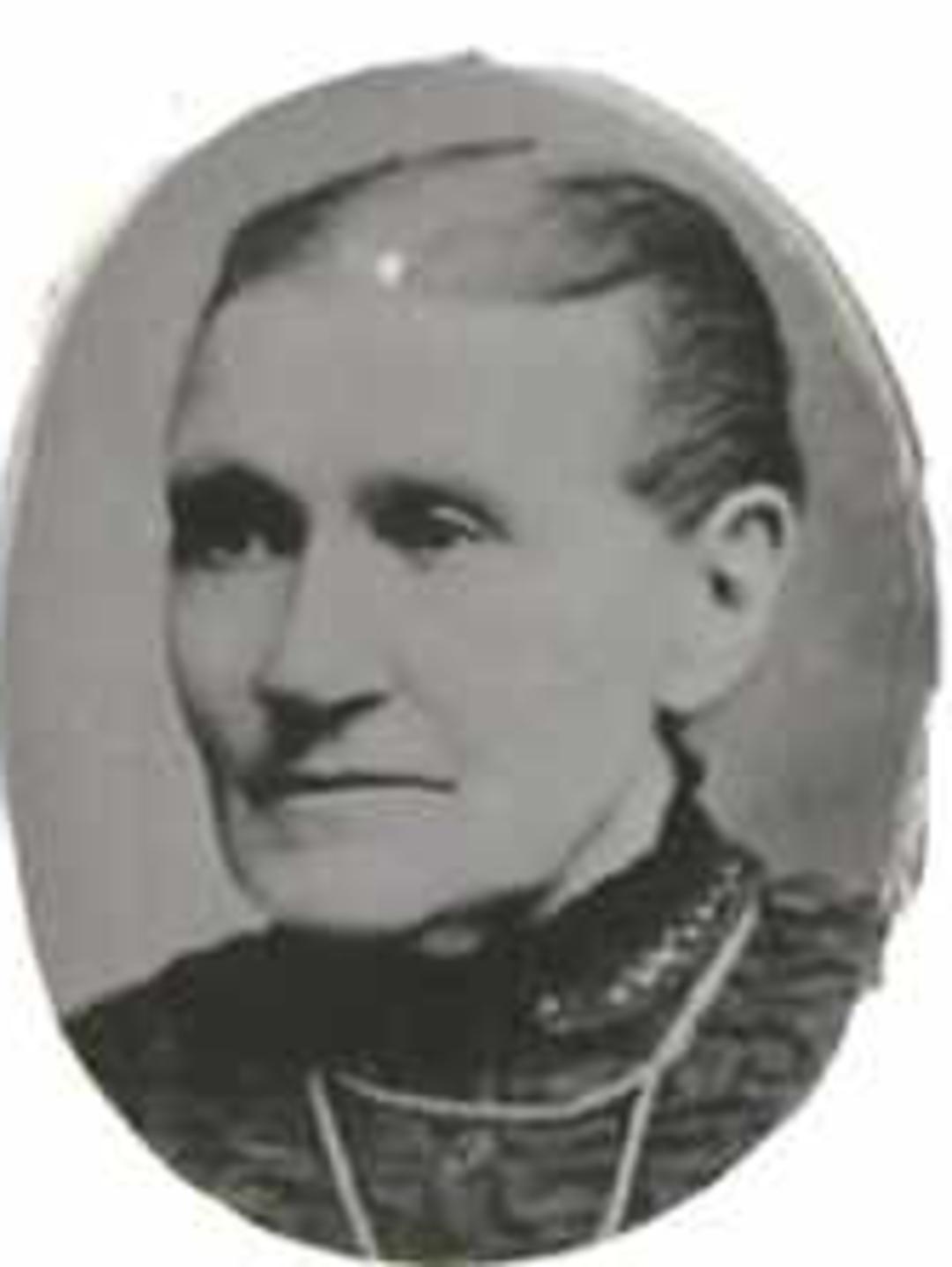 Elizabeth Tavener (1826 - 1907) Profile